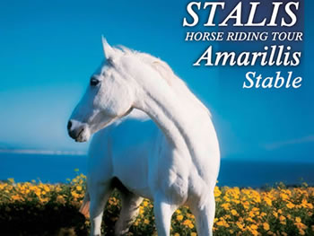 Horse riding experience in Crete with Eye Travel